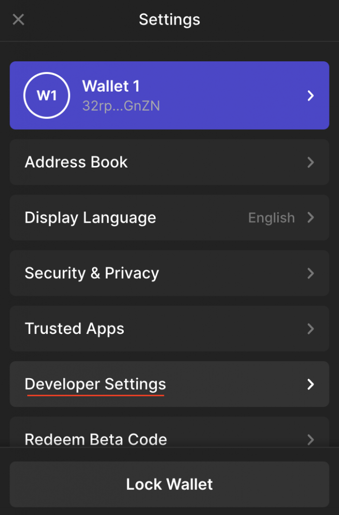 Highlighting the Developer Settings button on the Phantom Wallet