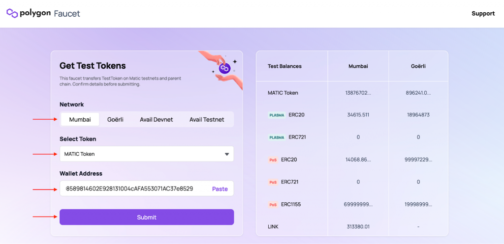 Entering Wallet Credentials to Get Tokens from the MATIC Faucet