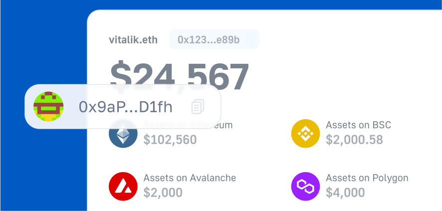 Fetch Wallet Balance