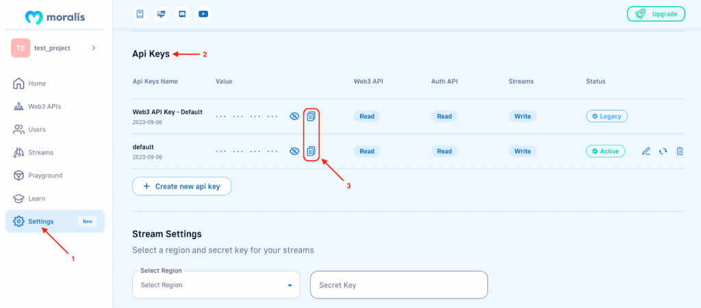 Access Moralis NFT Tool API - Copy API Key