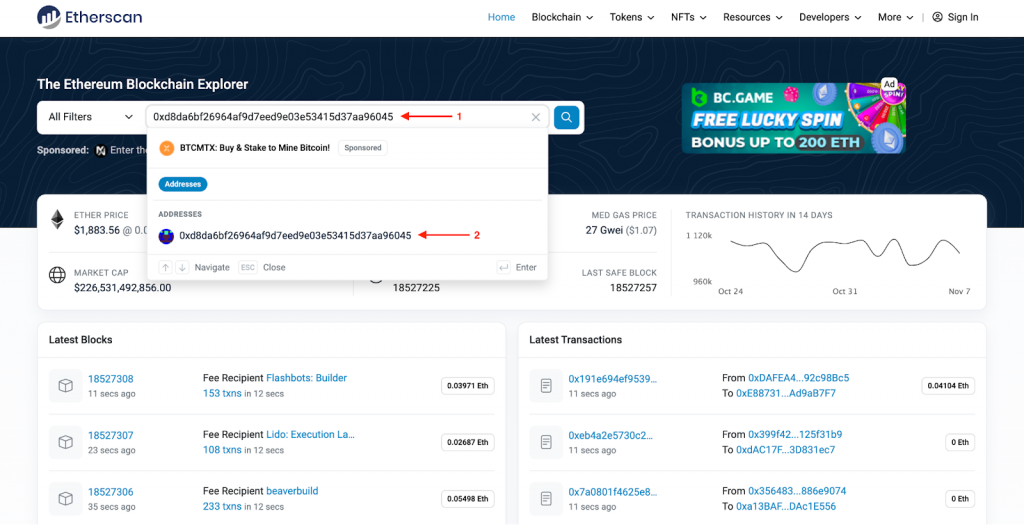 Looking up a wallet address on Etherscan site