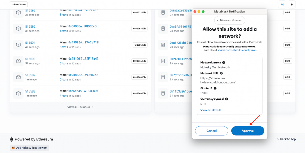 Approving network switch in MetaMask