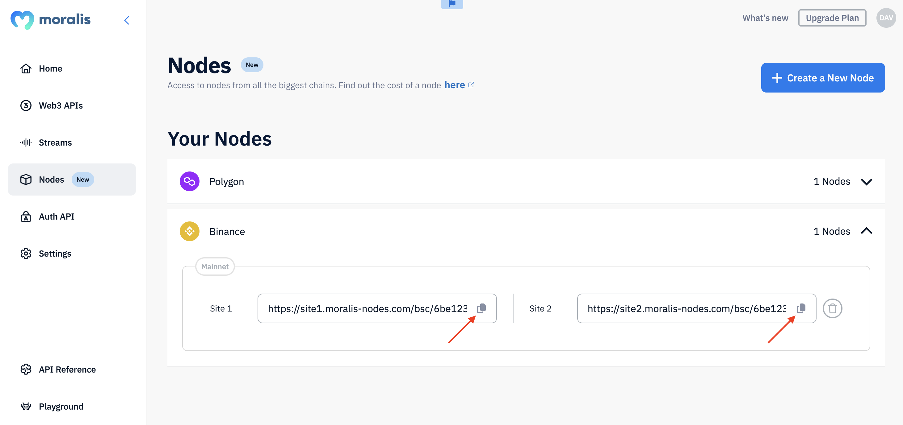 Step 3 - Copy and integrate one of your BSC node URLs into your project: 