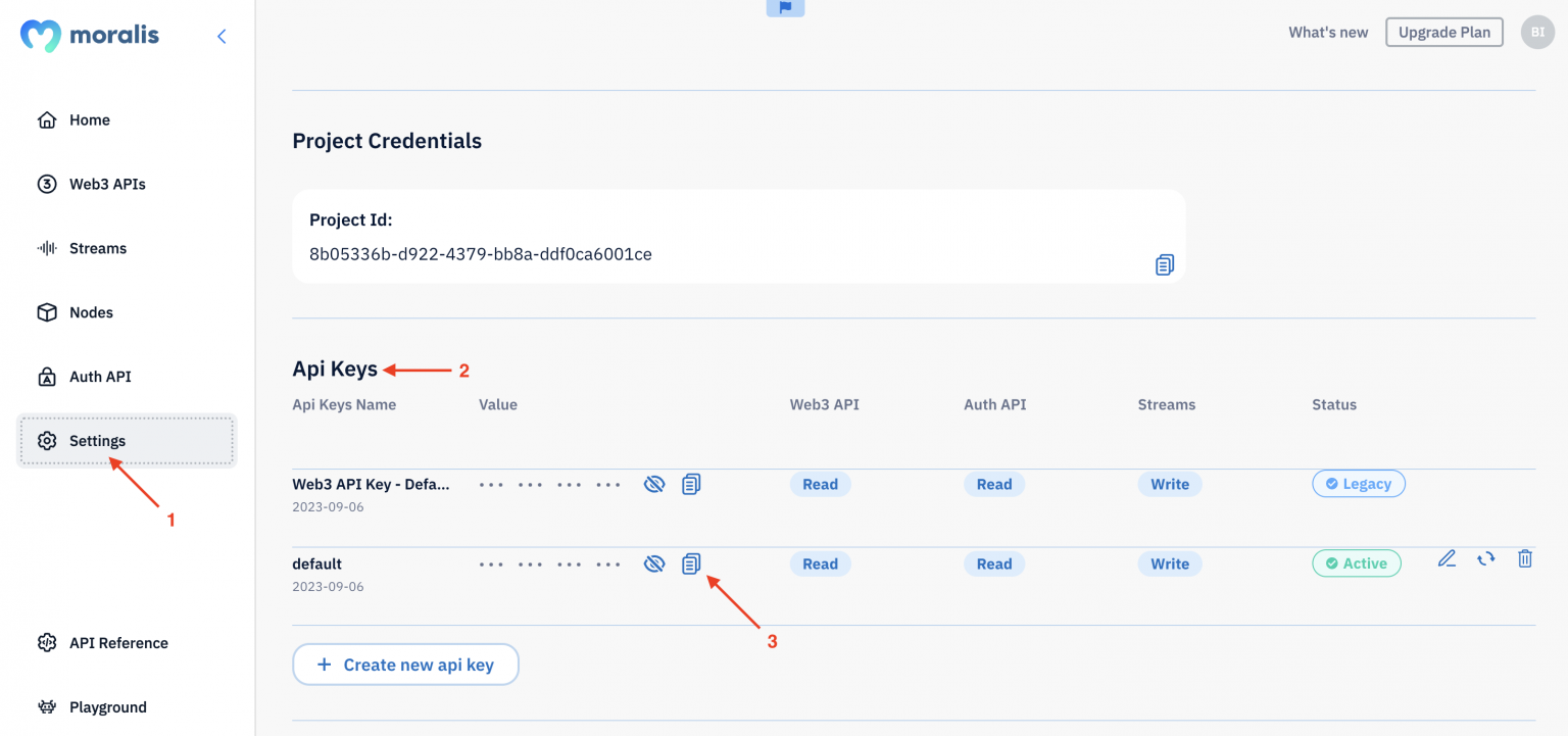 Showing how to copy the crypto wallet history API key on the Moralis dashboard