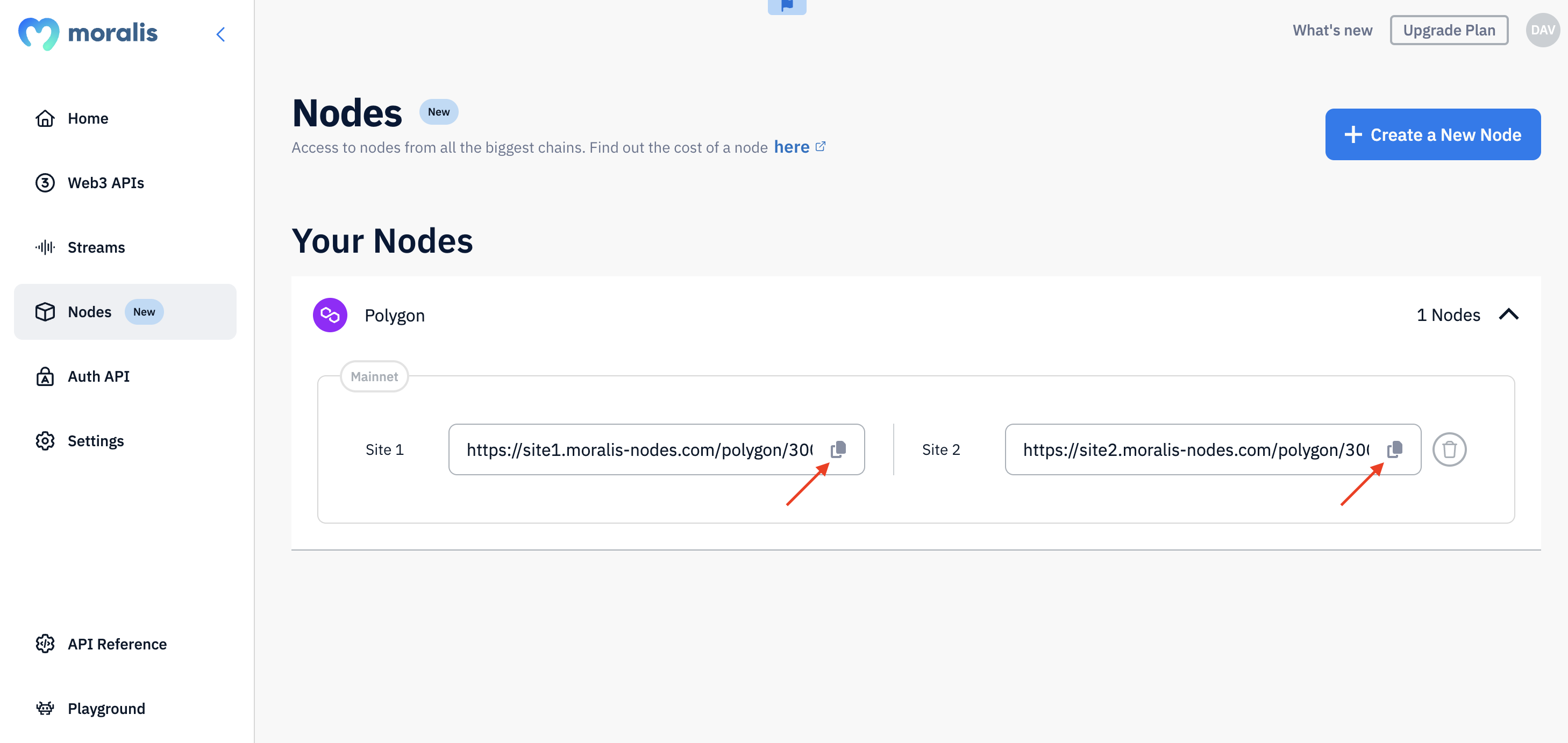 Step 3 - Integrate the node URL into your dapp