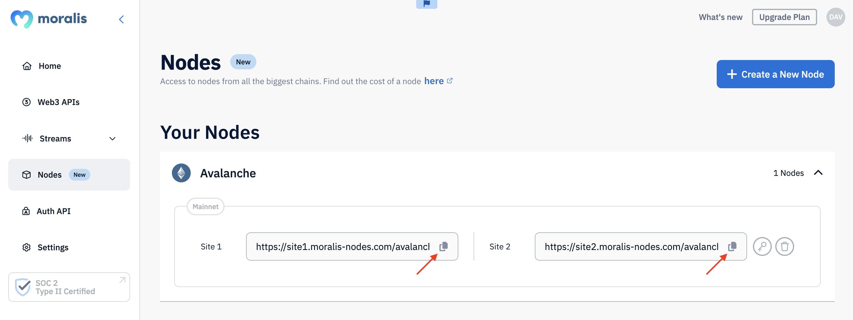 Arrows pointing at URLs for Avalanche nodes. 