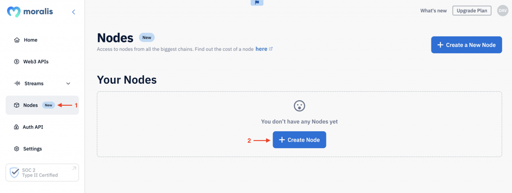 Instructions for creating Avalanche nodes with Moralis.