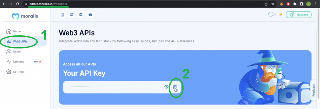 Copy key from Moralis admin panel.