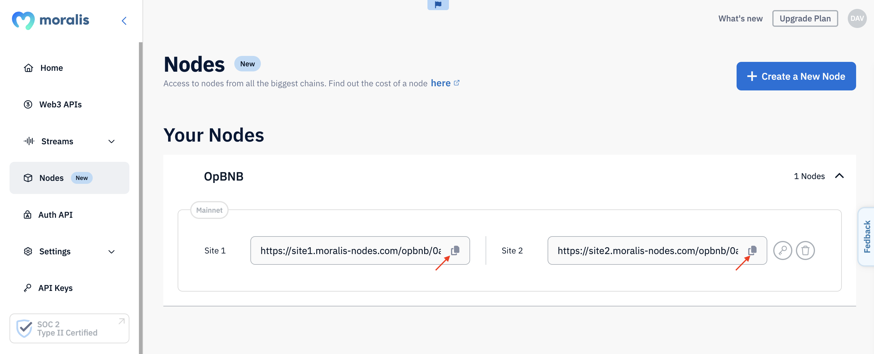 Red arrows pointing at URLs for opBNB RPC nodes. 