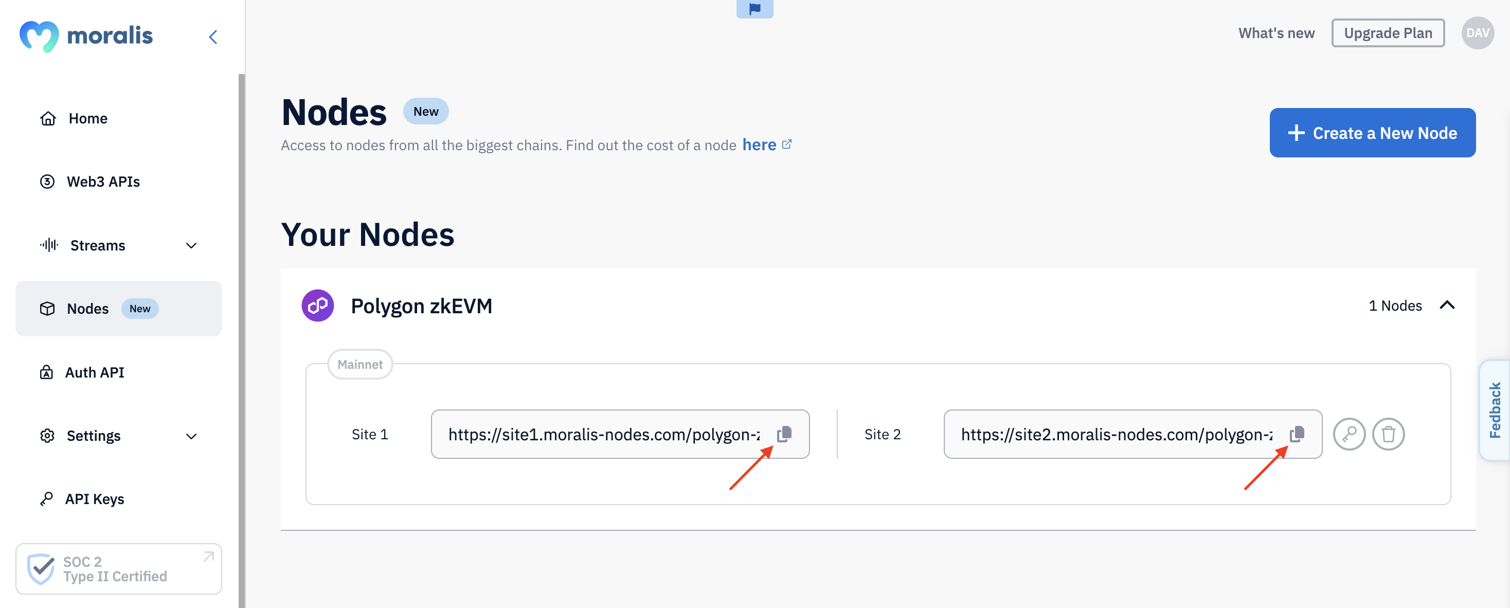 Red arrows pointing at the copy button for Polygon zkEVM RPC nodes URLs.