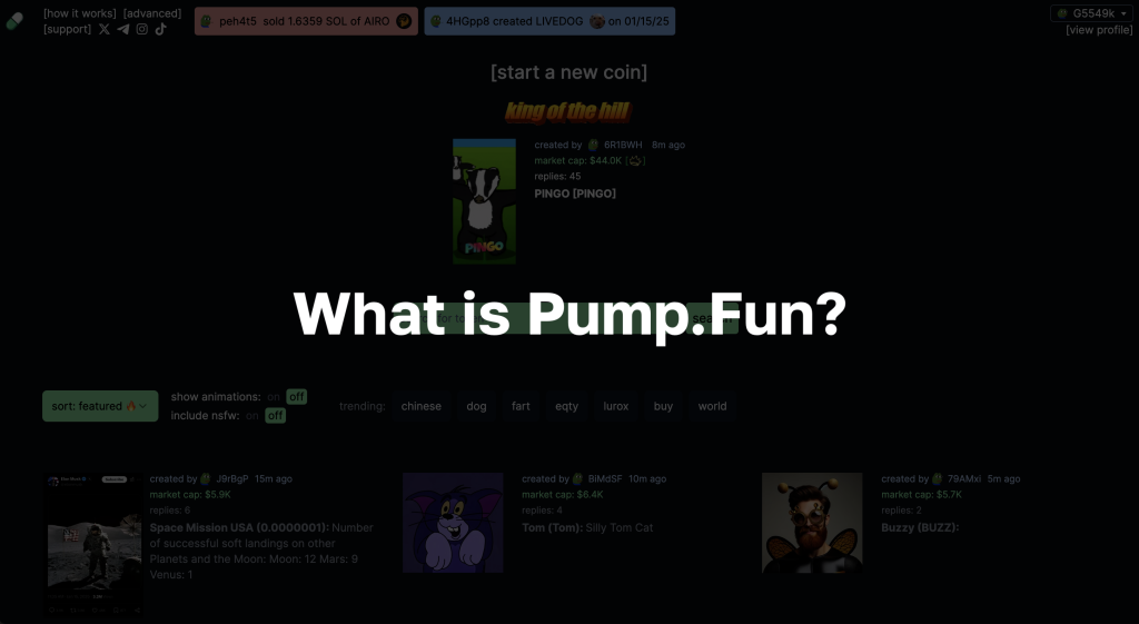 Text: "What is pump.fun?"