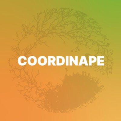 Coordinape